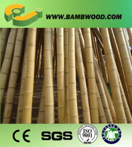 Natural Bamboo Pole for Garden and Plant