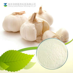 Factory Supply Natural Garlic Extract 5% Allicin